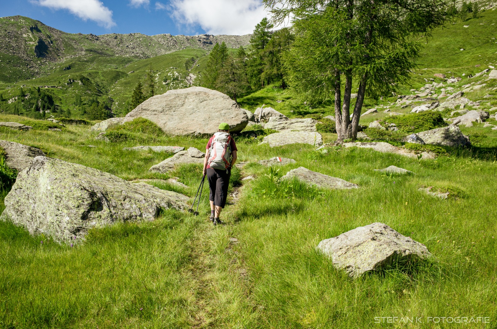 Angenehmer Aufstieg durch's Weidegelände